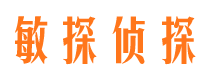 濉溪市调查公司